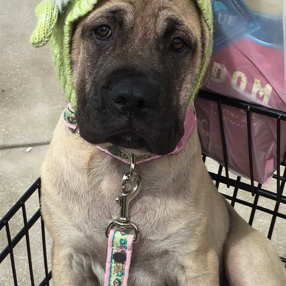 Meet your Posher, Stephanie - Picture 4 of 8